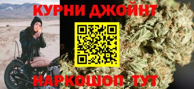 трава Сланцы