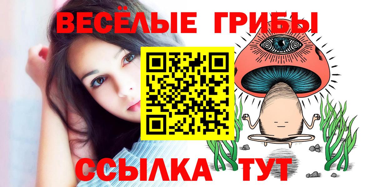 Галлюциногенные грибы Psilocybe  Вход с VPN  Новошахтинск  Псилоцибиновые грибы Psilocybine cubensis 